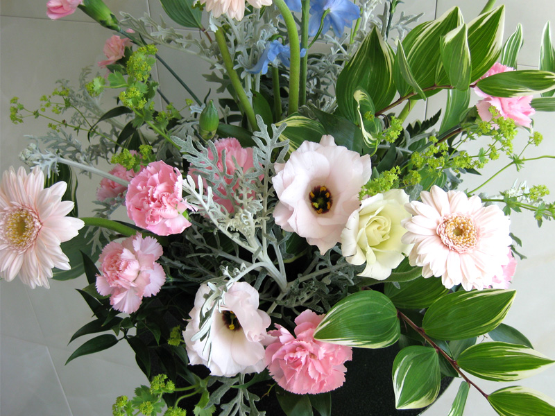 Flowerブログ 花のフリー写真素材 デルフィニウム ガーベラ トルコキキョウ スプレーカーネーション アルケミラ モリス